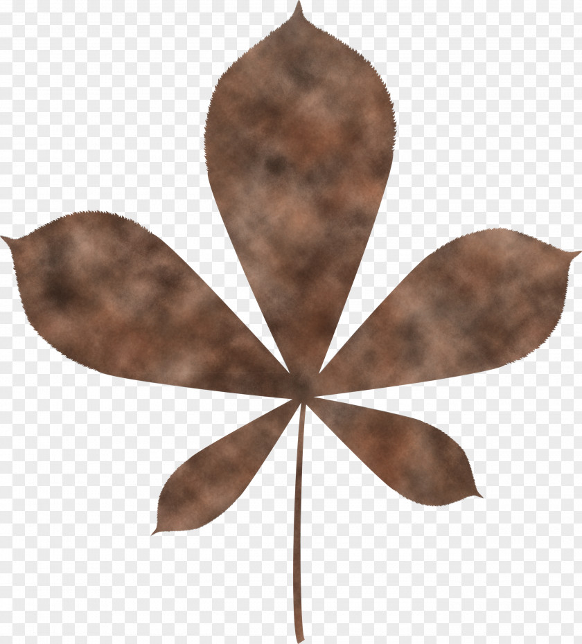 Autumn Leaf Color PNG