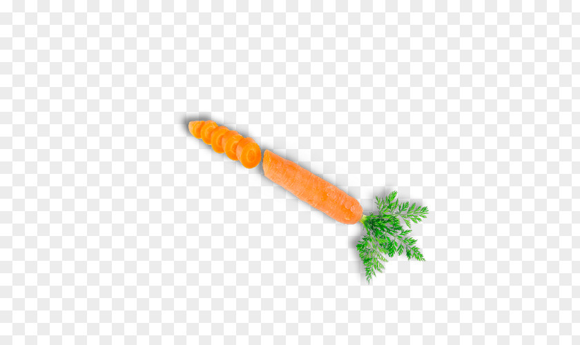 Carrot Hong Kong Vegetable Food PNG