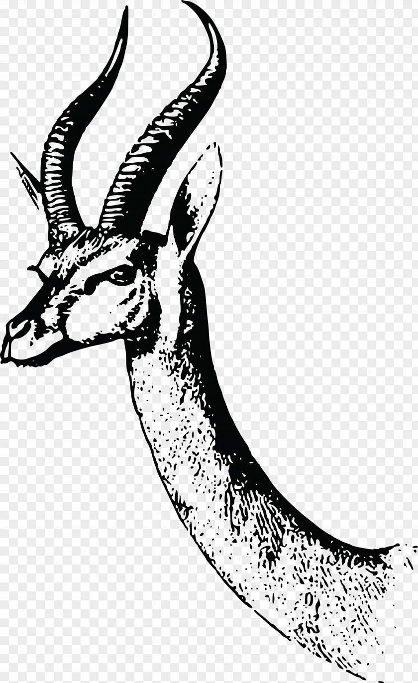 Gazelle Waller Antelope T-shirt PNG