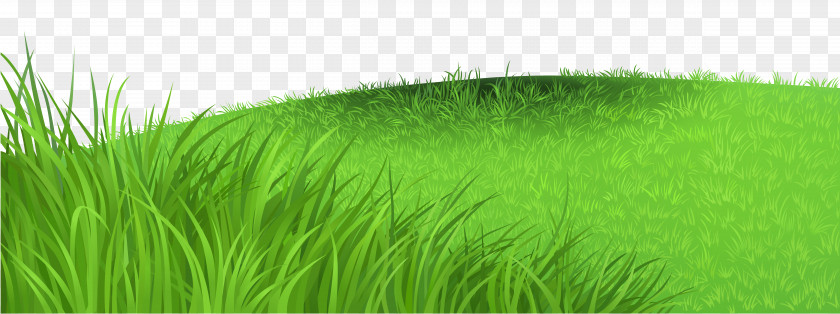 Grass Deco Clipart Picture Image File Formats Lossless Compression Raster Graphics PNG