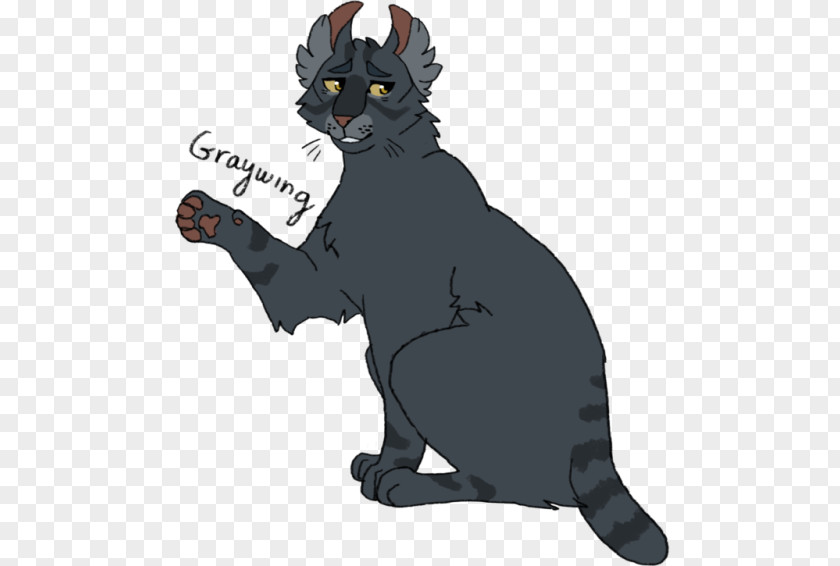 Gray Cat Whiskers Domestic Short-haired Black Warriors PNG
