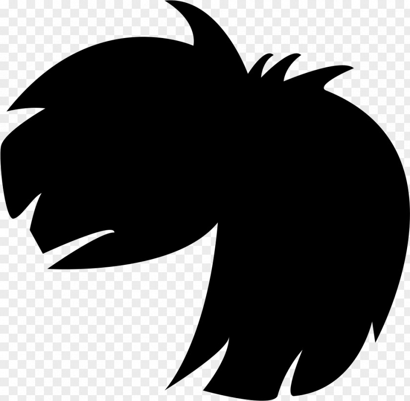 Hair Black Afro-textured Wig PNG