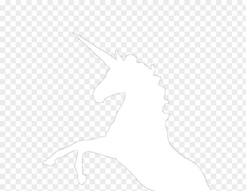 Horse Unicorn Nose White Sketch PNG