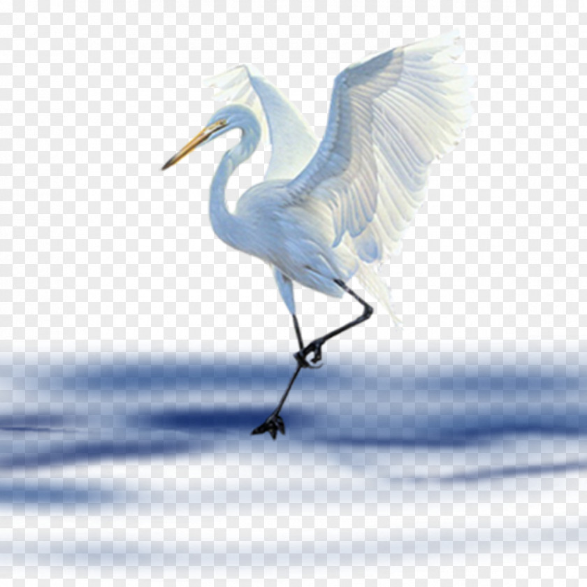 Lake Crane Bird Clip Art PNG