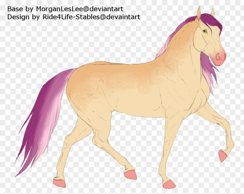 Mustang Mane Stallion Mare Colt PNG