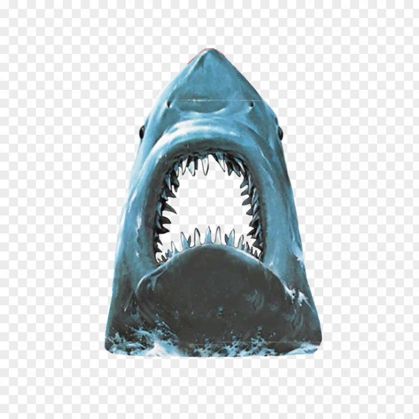 Sharks Universal Pictures Film Poster Television Sequel PNG