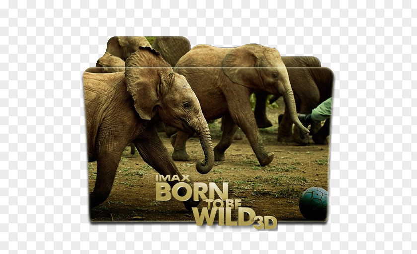 Be Born Film Poster Hollywood Documentary PNG