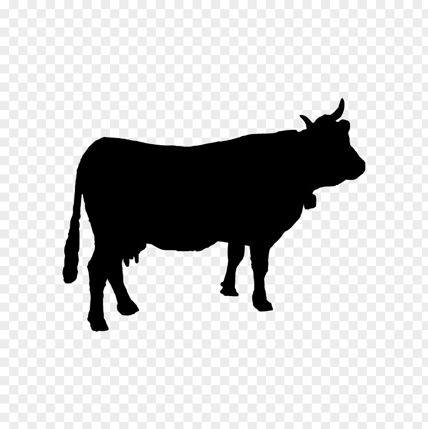 Cattle Calf PNG