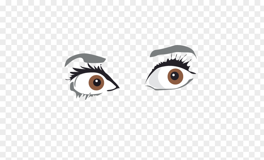 Eye Eyebrow PNG