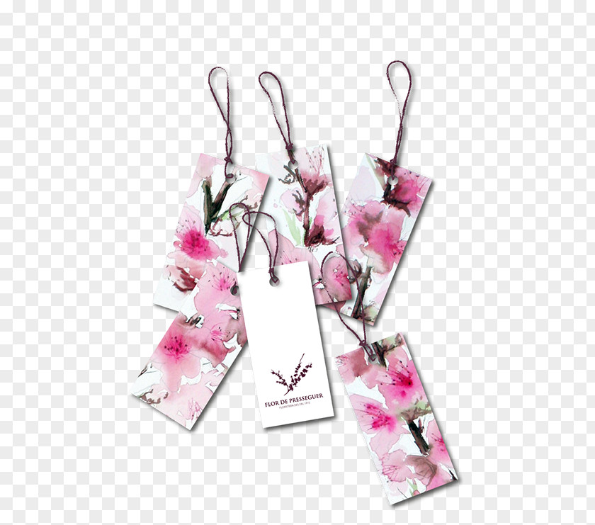 Peach Blossom Petal PNG