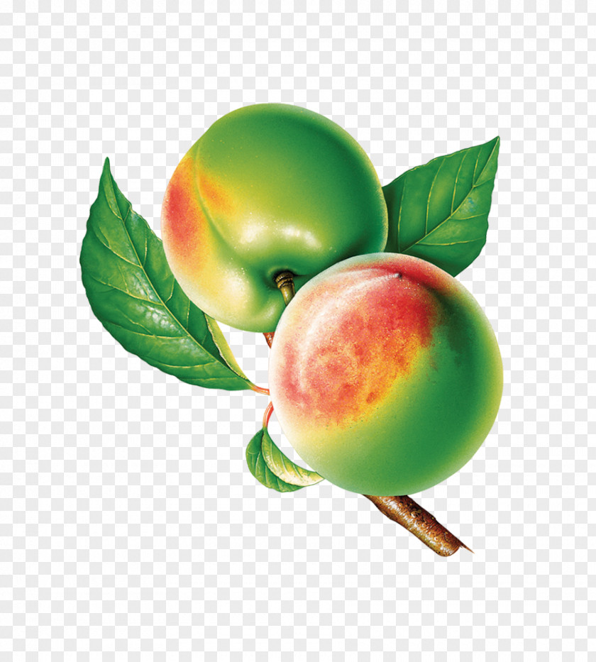 Peaches Peach Icon PNG