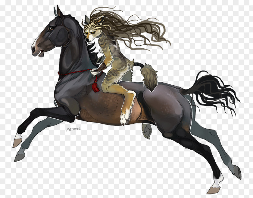 Quiet Gestures Mustang English Riding Rein Stallion Equestrian PNG