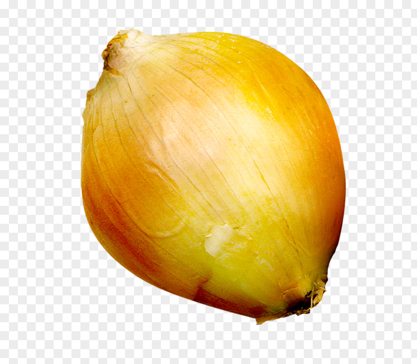 Ripe Onions Onion Still Life Photography Fruit PNG