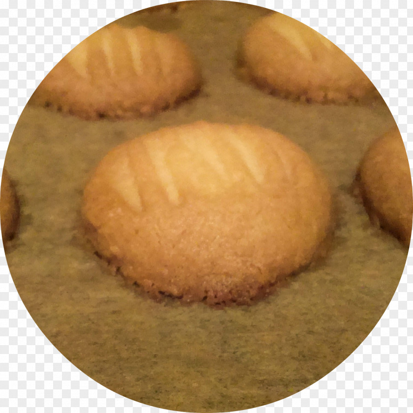 Biscuit Baking Cookie M PNG