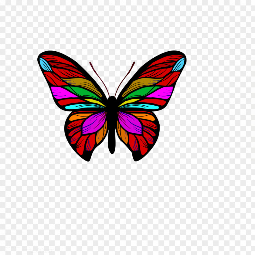 Colored Butterfly The Treasure Of A Friend Child Coloring Book Insect PNG