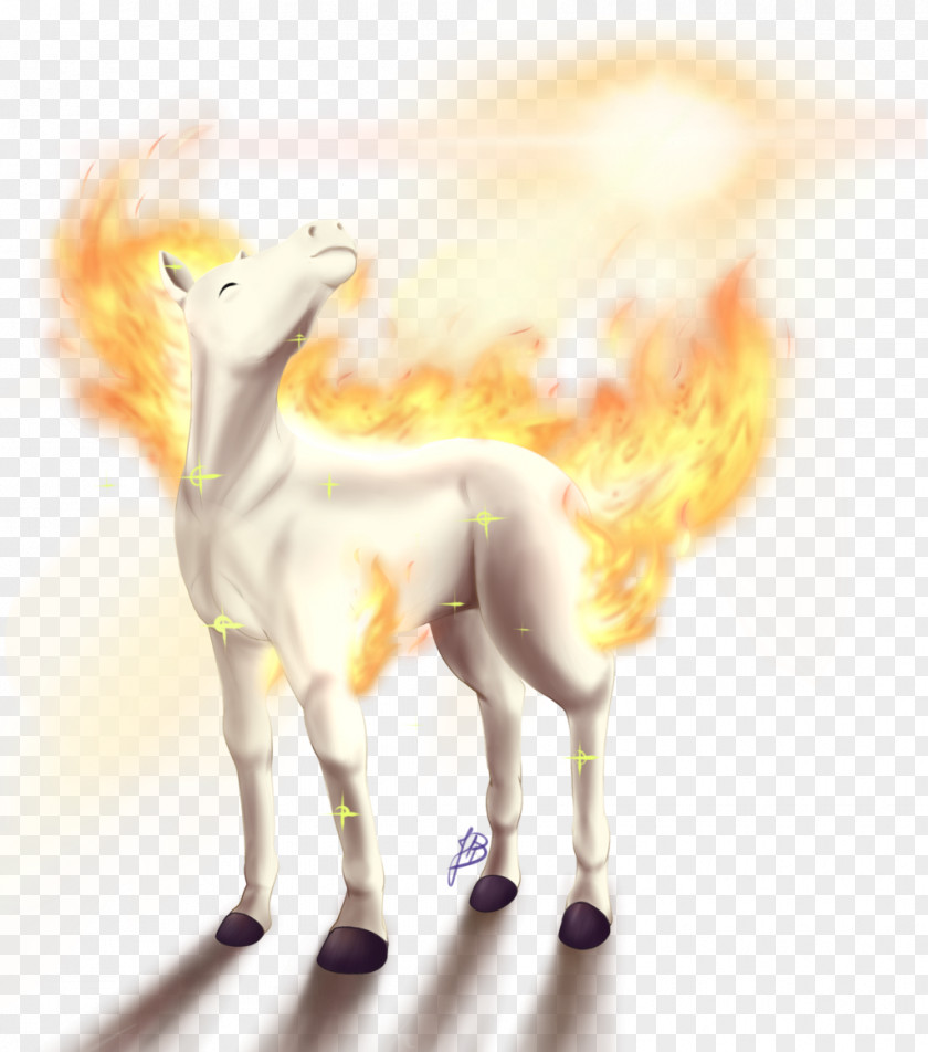 Morning Sun Pokémon XD: Gale Of Darkness And Moon Lugia Ponyta PNG