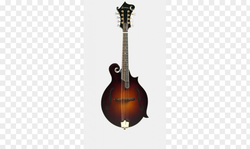 Musical Instruments Electric Mandolin Sound Hole Tonewood PNG