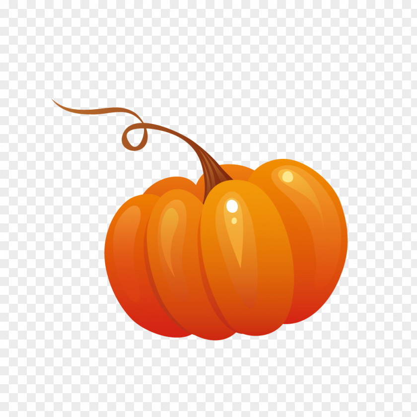 Pumpkin Autumn Icon PNG