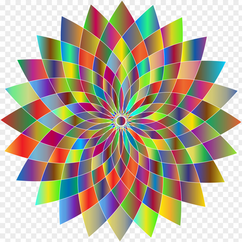 Abstract Symmetry Abstraction Line Art Clip PNG