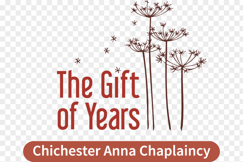 Church Diocese Of Chichester The Gift Years Roman Catholic Rochester Chaplain PNG