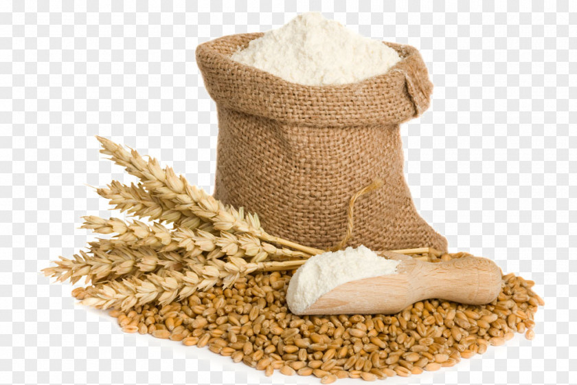 Creative Wheat Flour Atta Dal Whole-wheat PNG