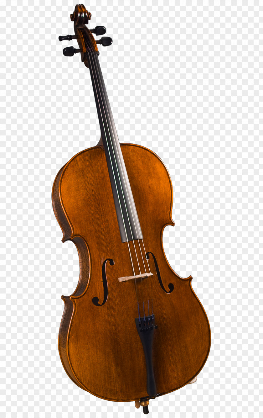 Djembe Cremona Cello Double Bass Musical Instruments Violin PNG