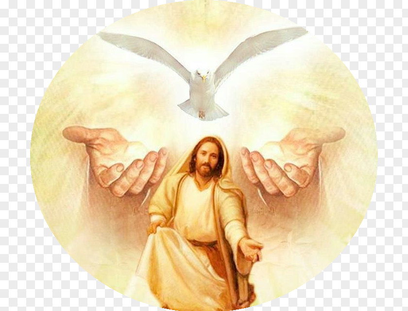 Espiritu Santo Gospel Of John Trinity Holy Spirit Saint God PNG