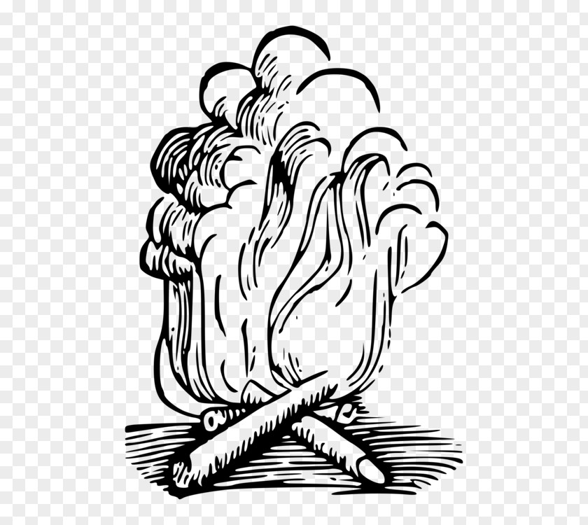 Flame Drawing Dibujo Clip Art Vector Graphics Smoke PNG