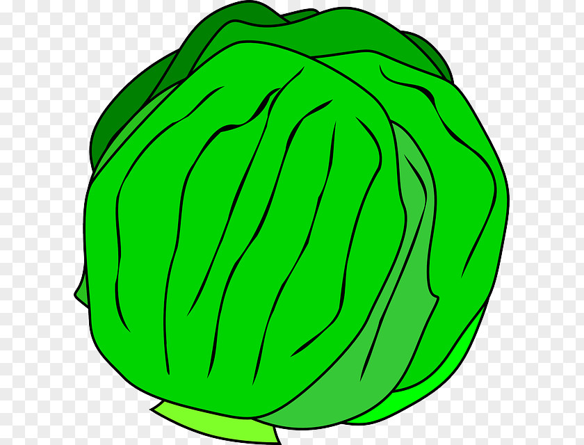 Green Apple Slice Hamburger Cheeseburger Salad Iceberg Lettuce Clip Art PNG