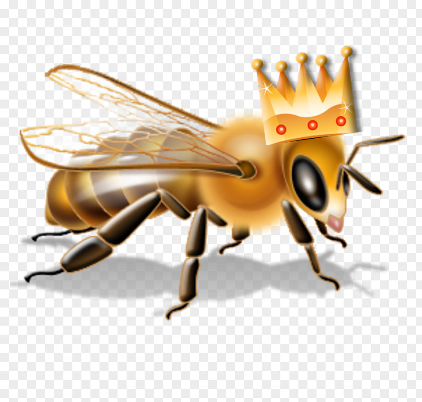 Honey Bee Insecticide Pesticide Neonicotinoid PNG