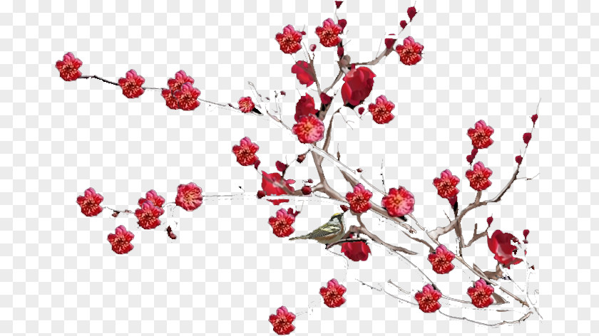 Plum Flower Blossom Landscape Gratis PNG