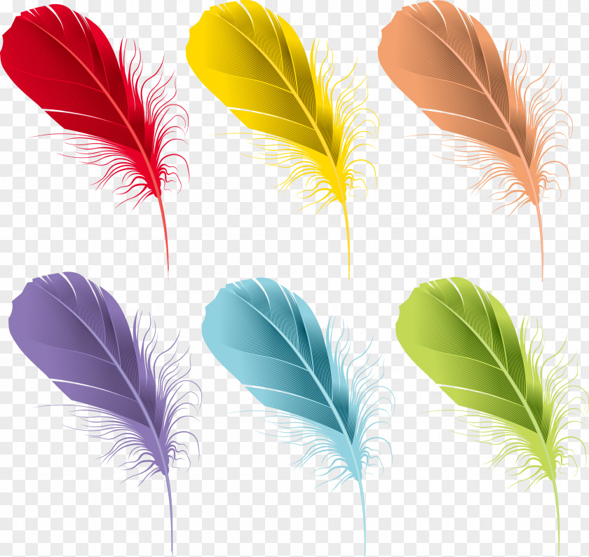 Cartoon Beautiful Colorful Feathers Feather Euclidean Vector Watercolor Painting PNG