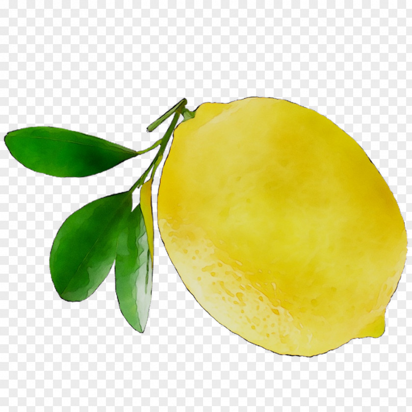 Citron Lemon Citric Acid Yuzu PNG