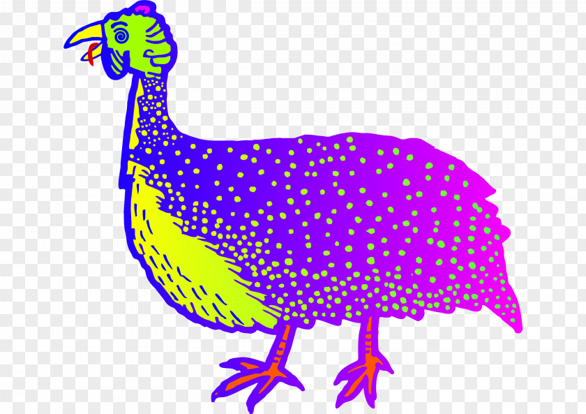 Crazy Bird Guineafowl Chicken Clip Art PNG