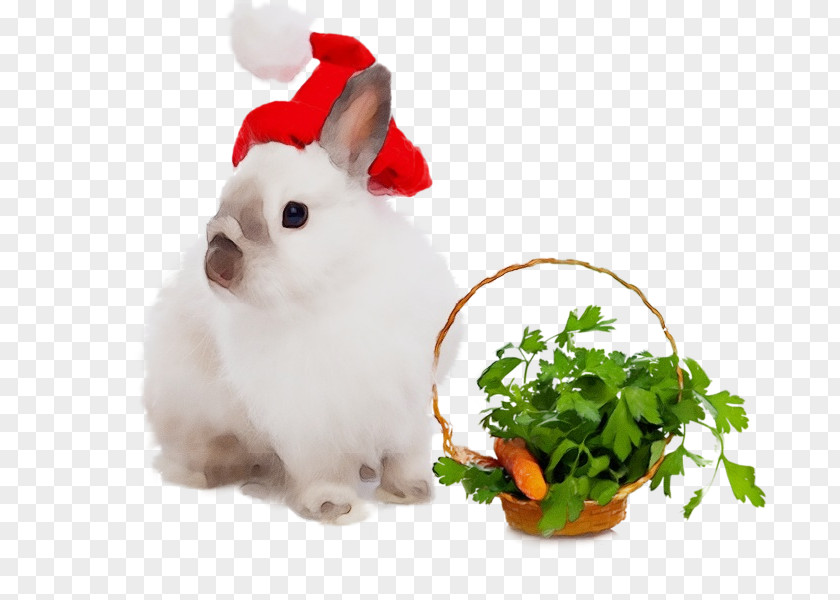 Easter Bunny Animal Figure PNG