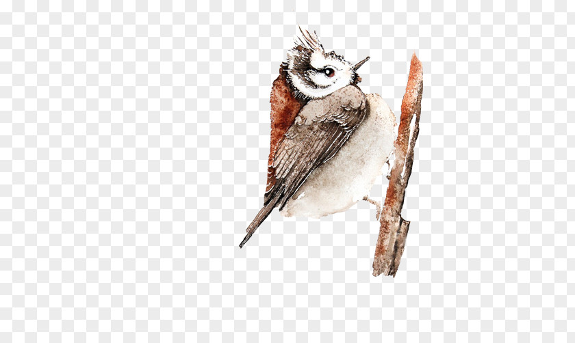 Little Sparrow Pecking FIG Pull Material Free Bird Owl PNG