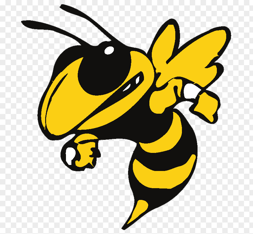 McAdory Middle School Yellowjacket Georgia Tech Yellow Jackets Football Logo Clip Art PNG