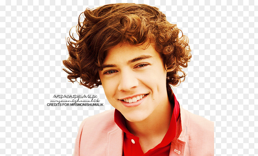 One Direction Harry Styles: Live On Tour Holmes Chapel The X Factor Singer-songwriter PNG