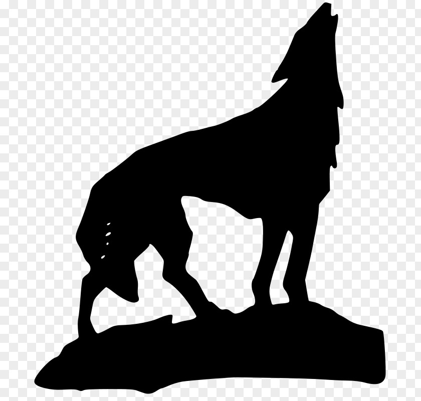 Wolof Gray Wolf Coyote Aullido Clip Art PNG
