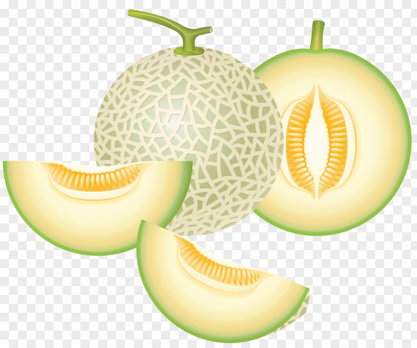 Cantaloupe Melon Clipart Honeydew Clip Art PNG