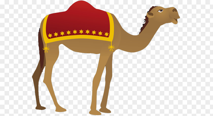 Cartoon Camel Dromedary Clip Art Christmas Day Nativity Scene Openclipart PNG