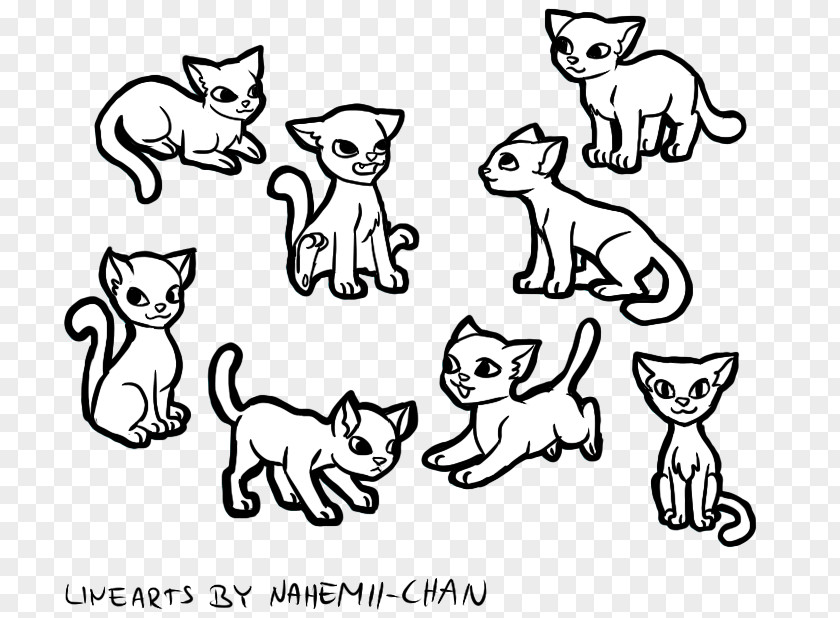 Cat Whiskers Line Art Felidae PNG