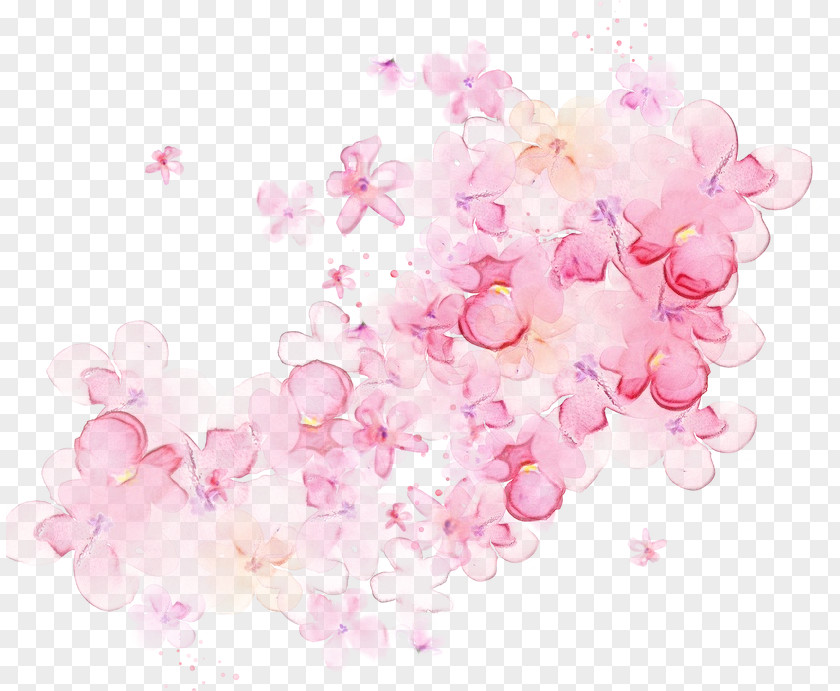 Cherry Blossom Watercolor Paint Purple Flower PNG