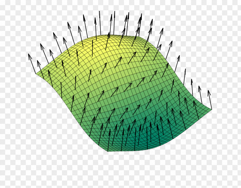 Euclidean Normal Surface Perpendicular Plane PNG