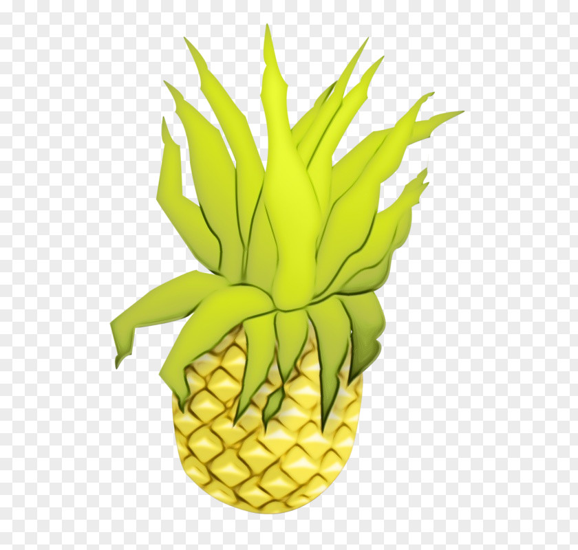 Pineapple Cartoon Image Illustration PNG