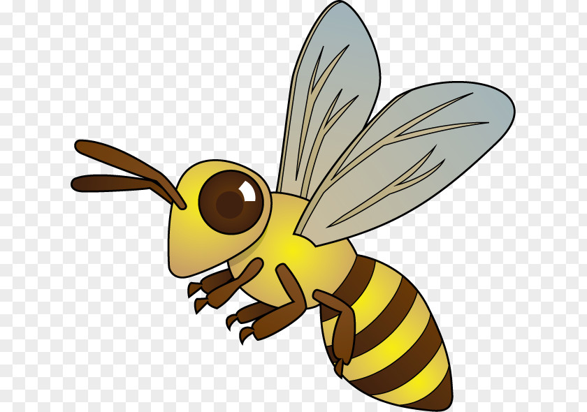 Bee Honey Hornet Insect Clip Art PNG