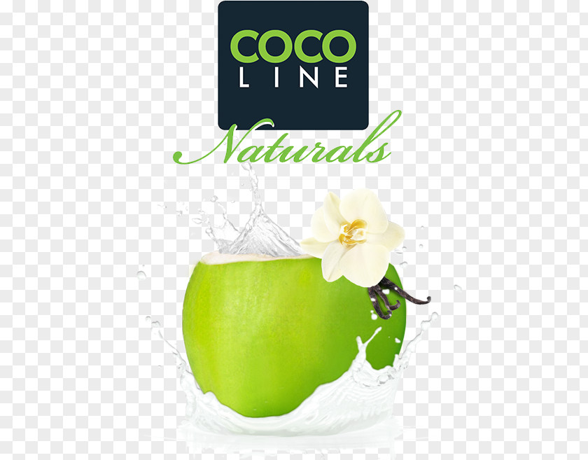 Mama Coco Lotion Philippines Paraben Brand PNG