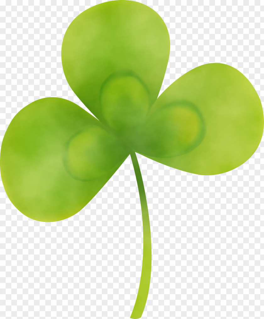 Shamrock PNG