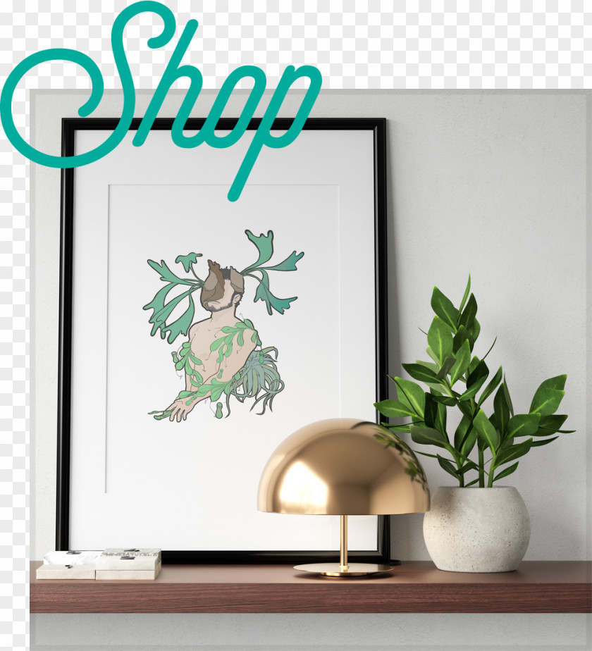 Shelf Herb Modern Background PNG