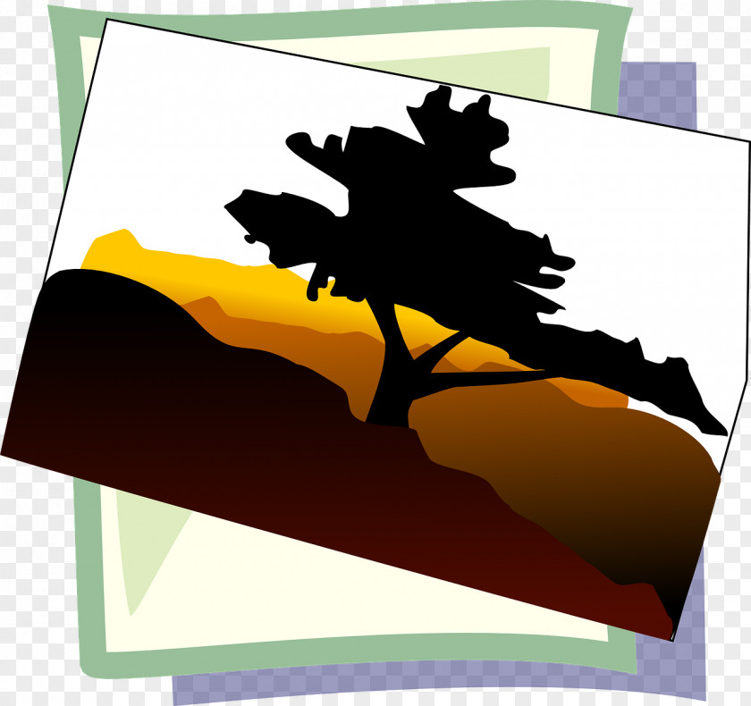 Desert Ecology Download Clip Art PNG